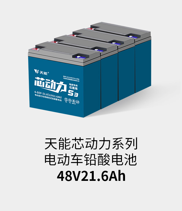 BG大游电池48v20ah