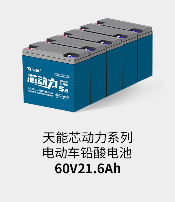 BG大游电池60v20ah