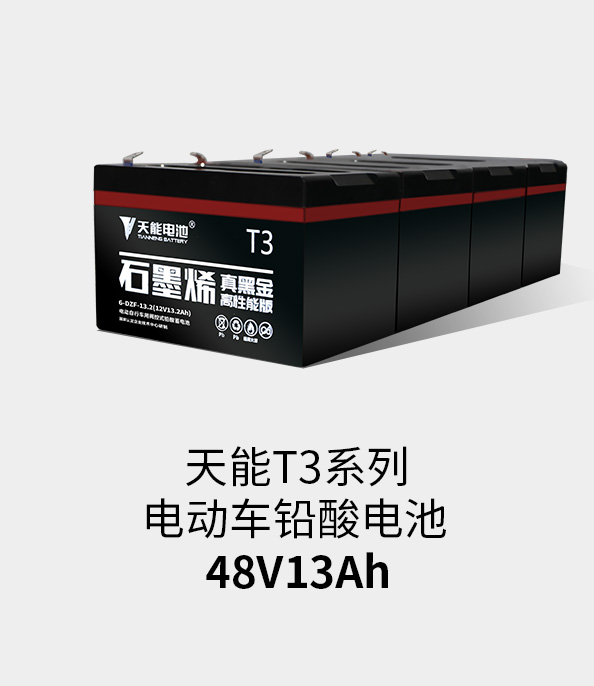 BG大游T3系列48v13ah