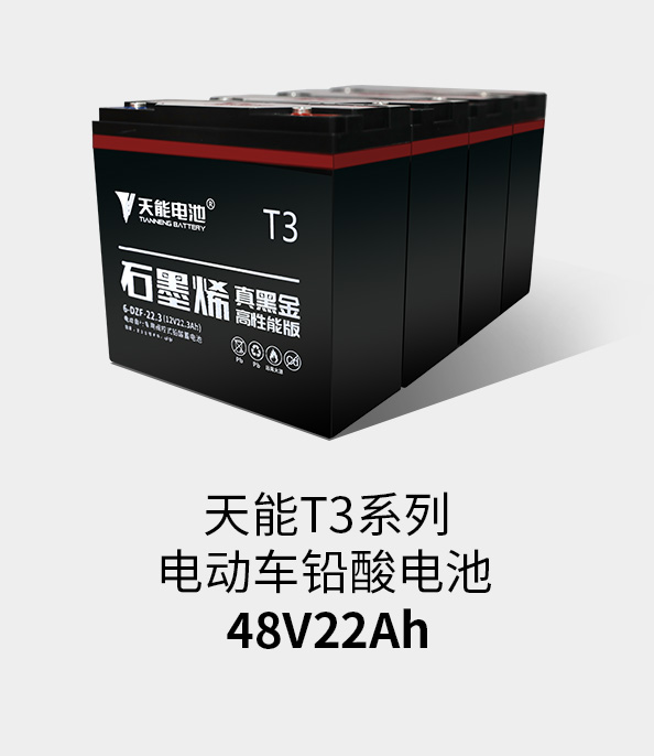 BG大游T3系列48v22ah