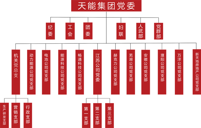 BG大游建团党委组织架构