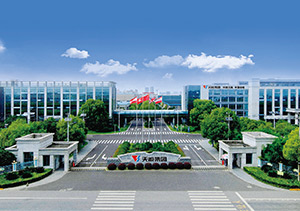 BG大游股份介绍