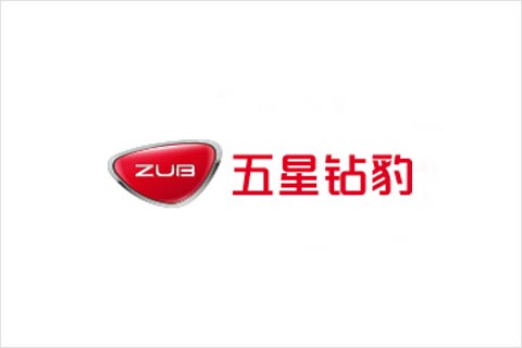 BG大游电池合作伙伴 五星钻豹电动车